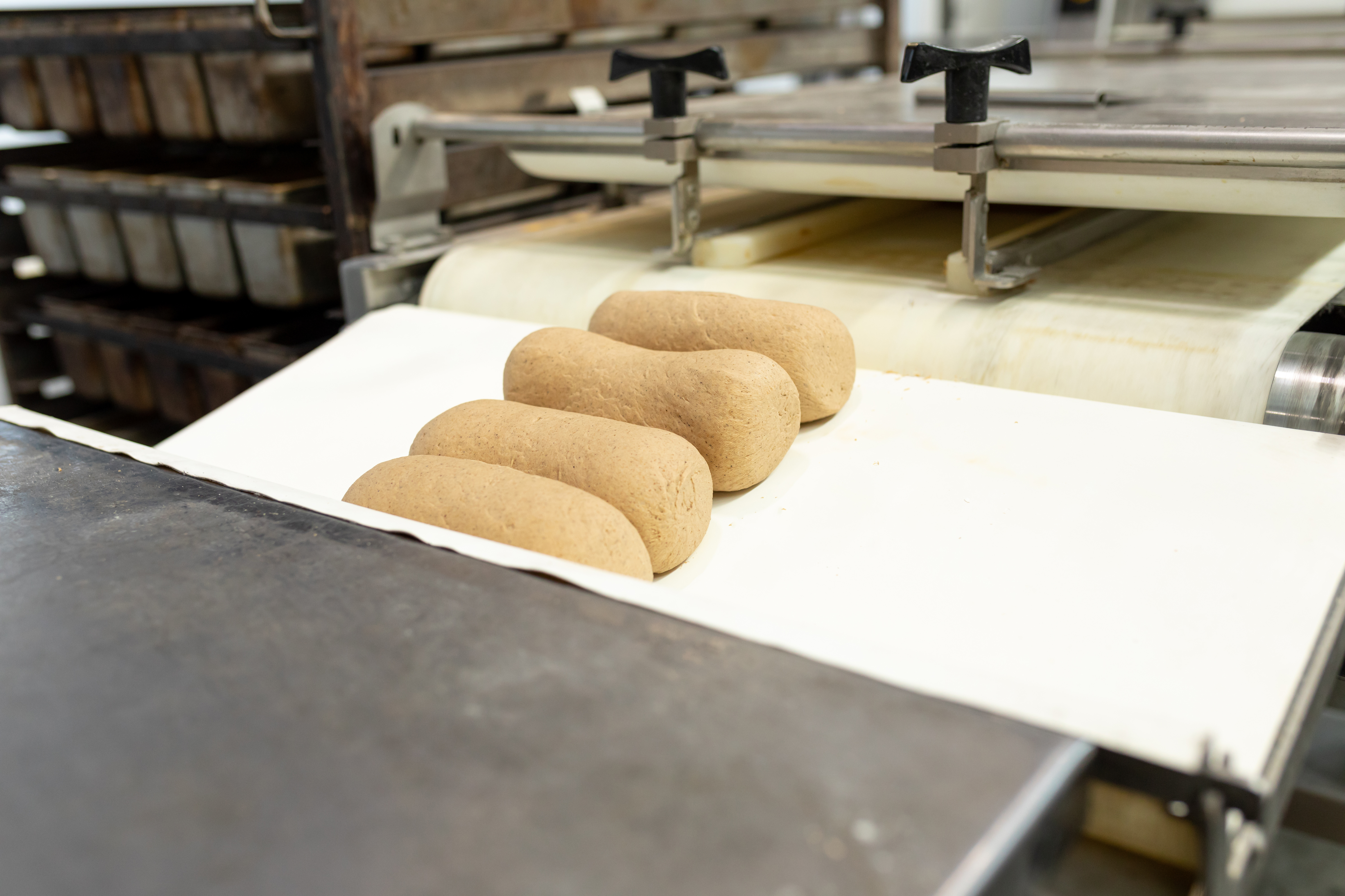 Molded dough products lie on metal plates in rack at bakery